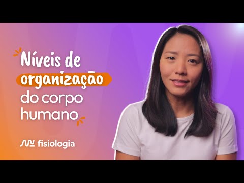 NÍVEIS DE ORGANIZAÇÃO DO CORPO HUMANO | MK Fisiologia