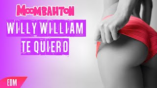 Willy William - Te Quiero (Moombahton Edit)