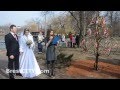 BrestCITY.com: Дерево любви открыли в Бресте (2015) 