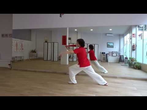 Taiji Gong Fu Shan de 52 movimientos