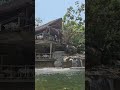 El Edén Vallarta Vallartanoticias Predator Depredadores Waterfall Rios