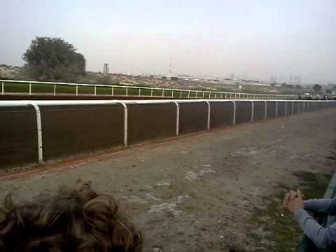 Dubai horse race