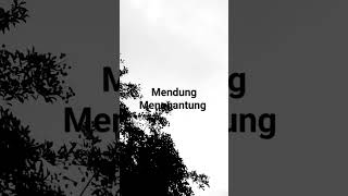 Download lagu Kabut, sengajakah engkau mewakili fikiranku by Ebiet G Ade @darwono3394 mp3