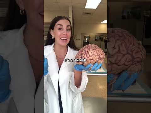 How’d you do? Comment your score! #anatomy #humanbody #science #scienceteacher #education #organs