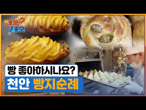 [네모세모] 천안 빵지순례