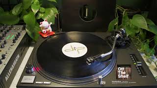 Dynamic Intervention - Pump It Up (New Variant 303 Mix) [DIP Recordings – dip 12 3036]