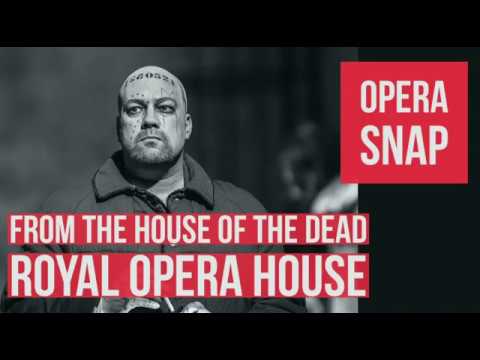 From the House of the Dead