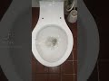 #62. Armitage Shanks Toilet