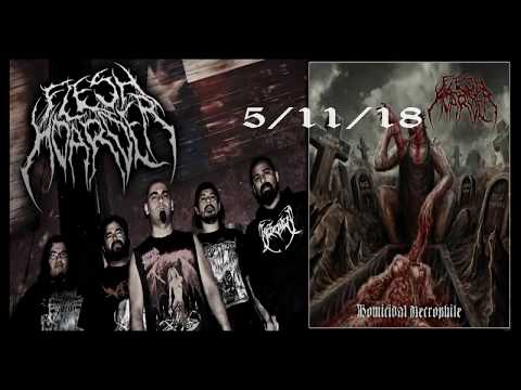 Flesh Hoarder lyric video and album release date