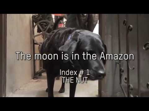 "The Moon is in the Amazon", lecture performance by Mapa Teatro, 28.9.2019