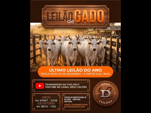 LEILAO DE GADO  23 - 12 - 2025 - Sindicato Rural de Rio Verde - Dêgo Leilões