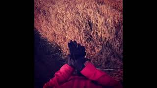 Wheat harvest 2021 day1