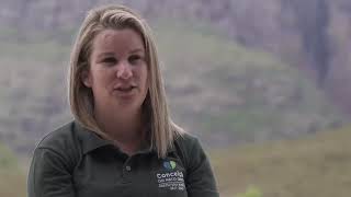 Image for Programa Crescer - Histórias de Transformação - Turismo