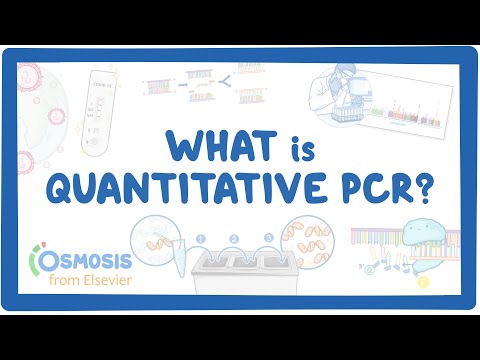 What is Quantitative PCR?