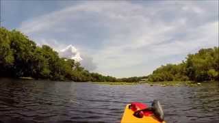 preview picture of video 'ASMR: Kayaking in Blue Springs State Park - Florida'