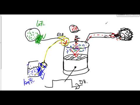 Theoriefragen zum Motor Teil 4 (Fahrschule, Führerschein, Klasse B) #1007