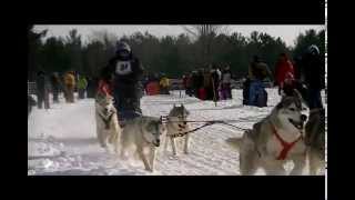 preview picture of video '2015 Kalkaska 6 Dog Registered Breed sled dog race'