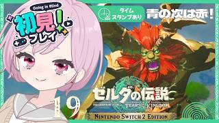 初めての赤髪ライネルさん戦！寄り道との死闘🔥防具強化素材をゲットしたい九州の蛮族｜シリーズ完全初見【ゼルダの伝説 ティアーズ オブ ザ キングダム｜ティアキン｜TotK】#19