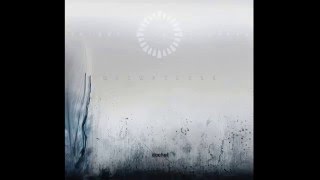 Animals as Leaders - Odessa