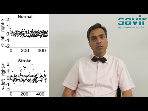 SAVIR Lectures 05: Vision Loss and Eye Movement | Prof. Bernhard Sabel