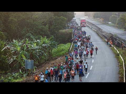 Нищета, бандитизм и коррупция. Почему тысячи людей покинули Гондурас и пешком направились в Америку