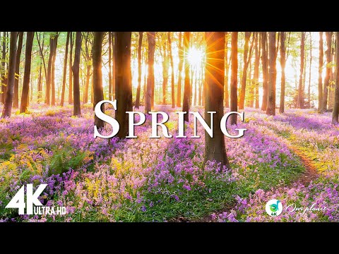 Spring 4K - Amazing Colors of Spring 4K Nature Relaxation Film - Relaxing Piano Music ( 4K UHD )