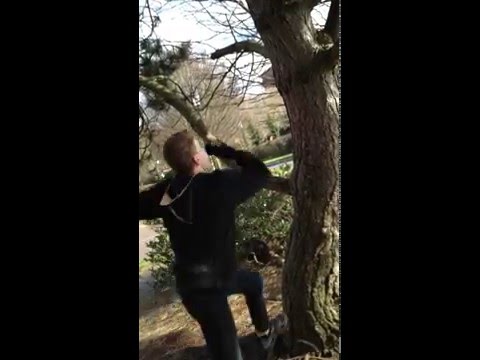 Climb Tree, Branch Snaps, Gravity Kicks In, Ouch !
