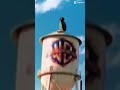 Pingu In The Wb Water Tower Pingu WarnerBros