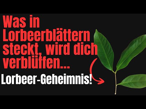 NEW! Bay leaves: Healing power in the leaf – what's REALLY in them!