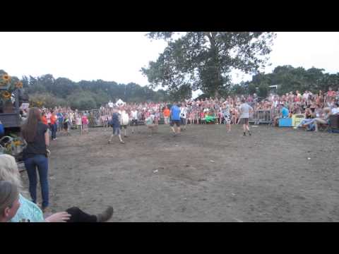 Broeklanderfeest 2013 - Maanadg - Stoelendans finale