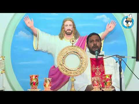 Sunday evening HOLY MASS at 7.00 pm   - 26.04.2020