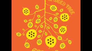 Espers - Rosemary Lane