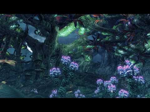 Noctilum (Night) Transcription