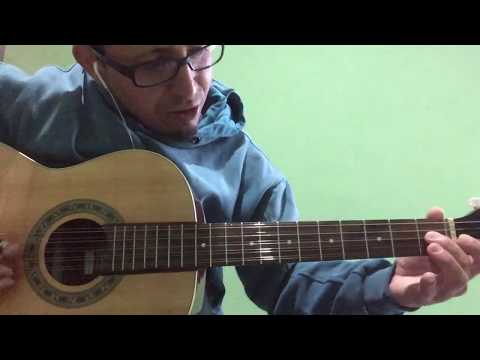 Passarinho Prisioneiro - Peão Carreiro e Zé Paulo