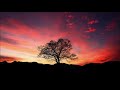 Michael Hoppé & Martin Tillman -Thoughts of You