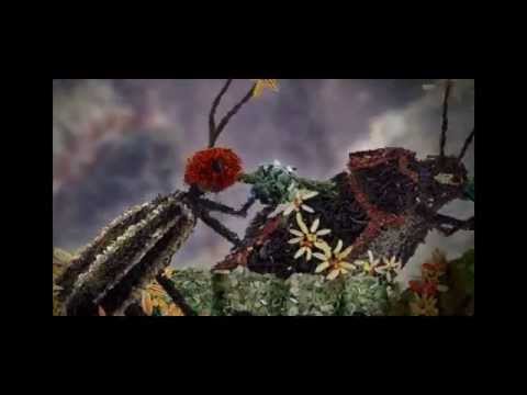 LA PETITE FABRIQUE DU MONDE - Bande annonce