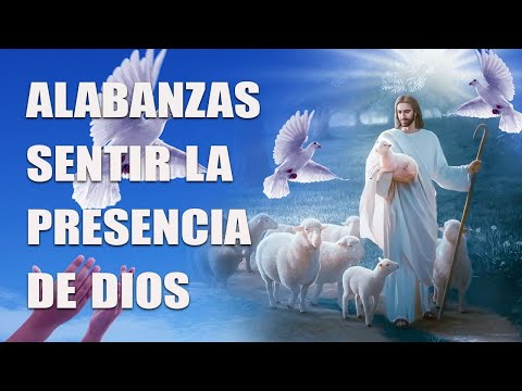 LA CANCIÓN CATÓLICA MAS HERMOSA DEL MUNDO 🙏🏻❤️️ MÚSICA CATÓLICA QUE TE INUNDA DE FUERZAS 🙏🏻❤️️