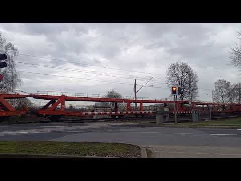 DB-Vectron mit ziemlich wenigen Autos [Nordstrecke #16 - 29. März 2023]