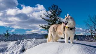 Hillsong UNITED. Heaven Knows (HD 1440)