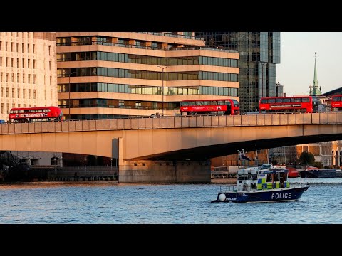 London Bridge terror attack: two dead, three injured