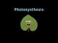 Photosynthesis/Photosynthesis
