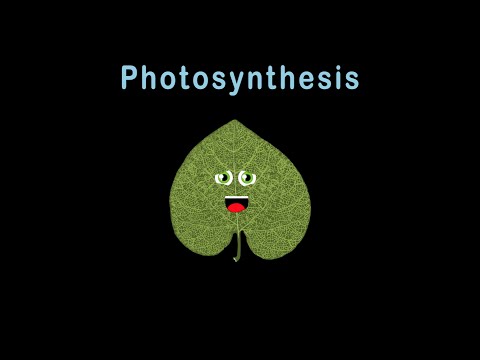 Leaf Song/Photosynthesis/Photosynthesis for Kids Leaf Song/Photosynthesis/Photosynthesis for Kids