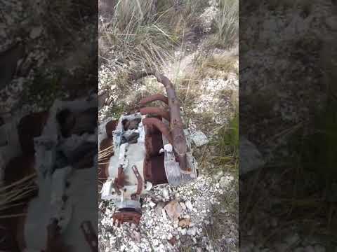 O avião e Érico Cardoso 