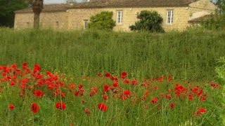 preview picture of video 'Maison de caractère à vendre Aigues-Mortes (Languedoc-Roussillon) particulier'