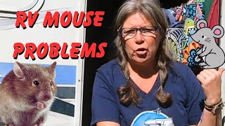 Tips to Keep your RV Mouse Free, Plus My Secret Weapon for Keeping Mice Out!