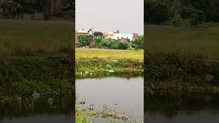 Download lagu October 30, 2025 mp3