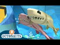 Octonauts Cookiecutter Sharks The Sardine School Cartoons For Kids Underwater Sea Education