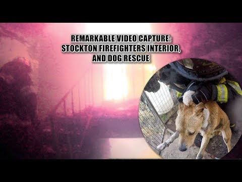 Remarkable Video Capture: Stockton Firefighters Interior, & Dog Rescue