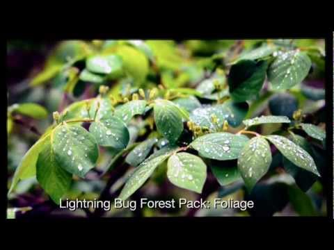 Lightning Bug - Forest Pack video thumbnail