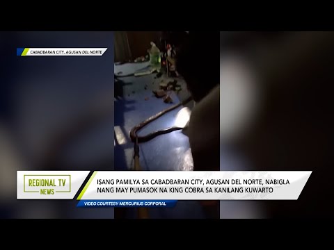 Regional TV News: Isang pamilya sa Cabadbaran City, Agusan Del Norte, nabulabog ng cobra